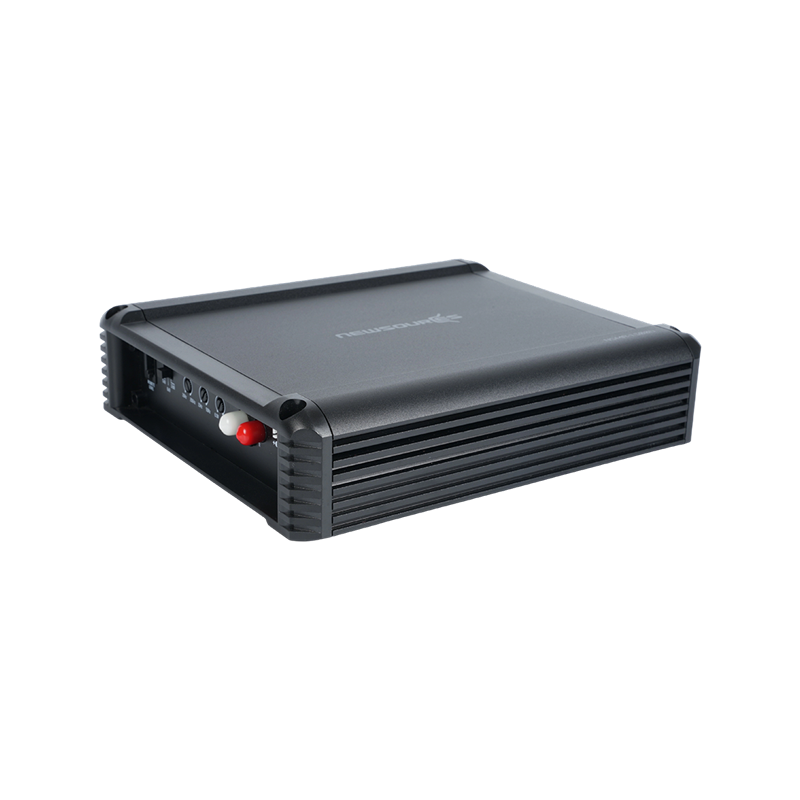 مكبر صوت أحادي الكتلة من الفئة D